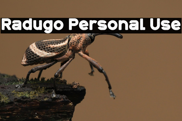 Radugo Personal Use Example 2