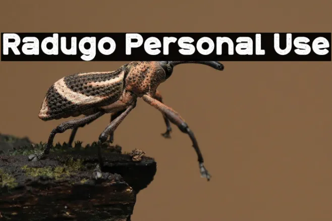 Radugo Personal Use Example 2