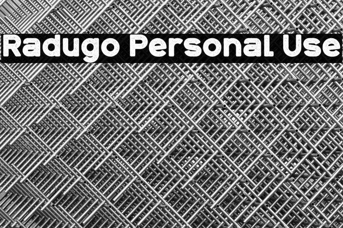 Radugo Personal Use Example 3