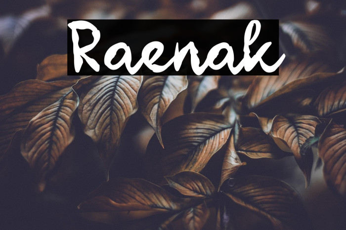 Raenak Example 1