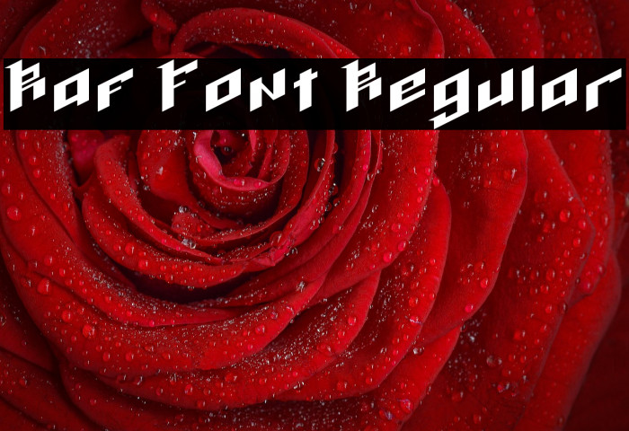 Raf Font Regular Example 1