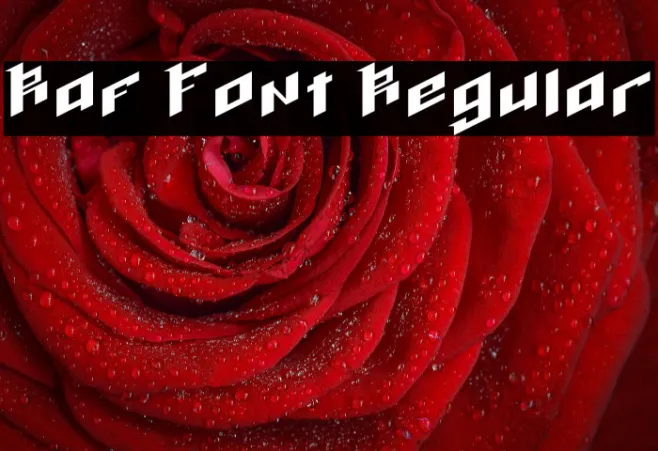 Raf Font Regular Example 1