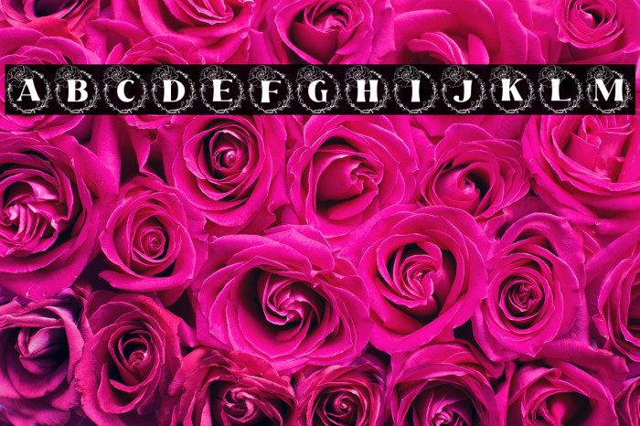 Rafaela Monogram Example 3