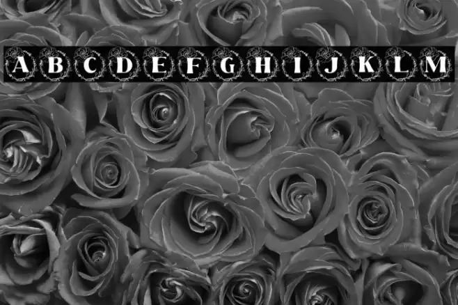 Rafaela Monogram Font examples