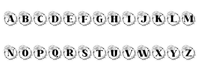 Rafaela Monogram Font LOWERCASE