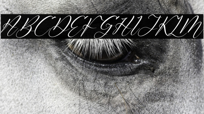 Rafaela Salitha Italic Example 2