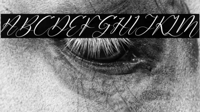 Rafaela Salitha Italic Font examples