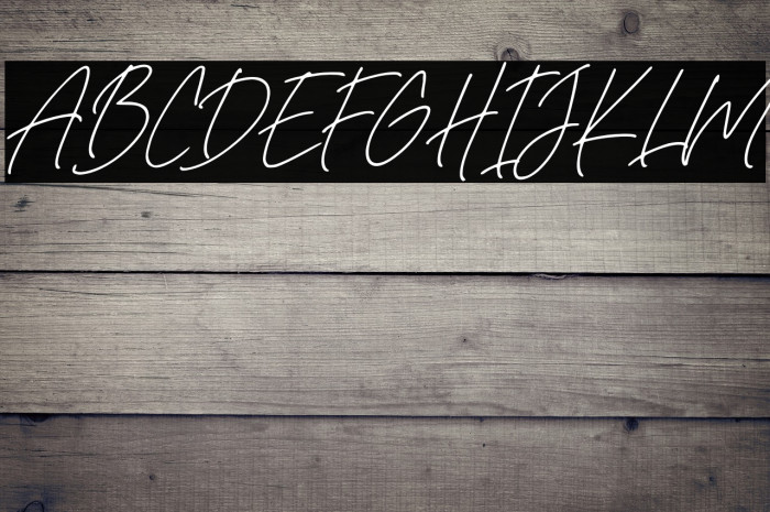 Rafaella Signature Italic Example 2