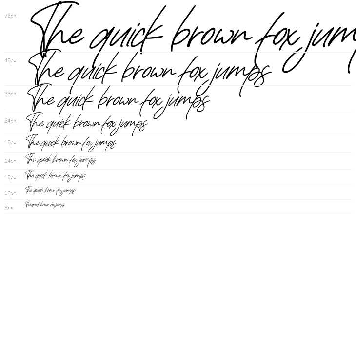 Rafaella Signature Italic Waterfall