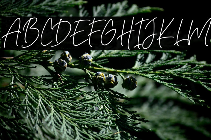 Rafaella Signature Example 2