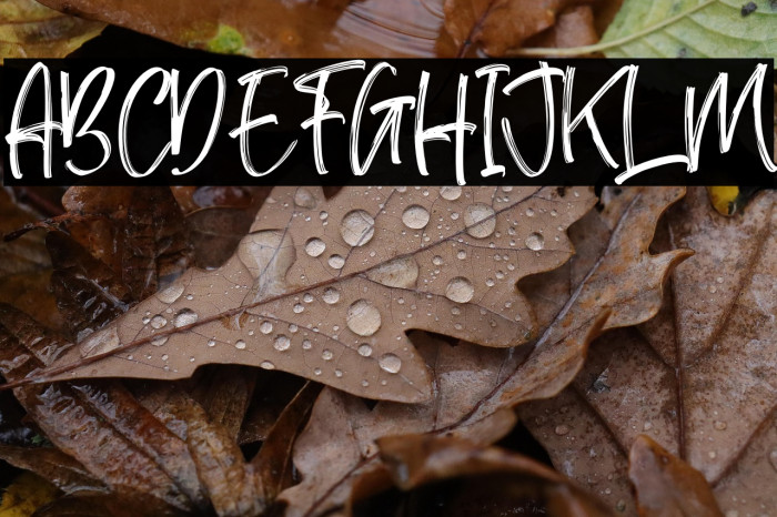 Rafaesty Wigera Example 2