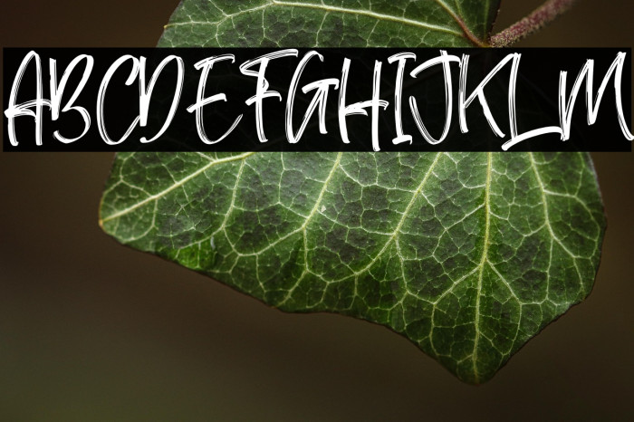 Rafaesty Wigera Example 3