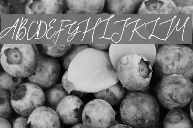 Rafailla Demo Font examples