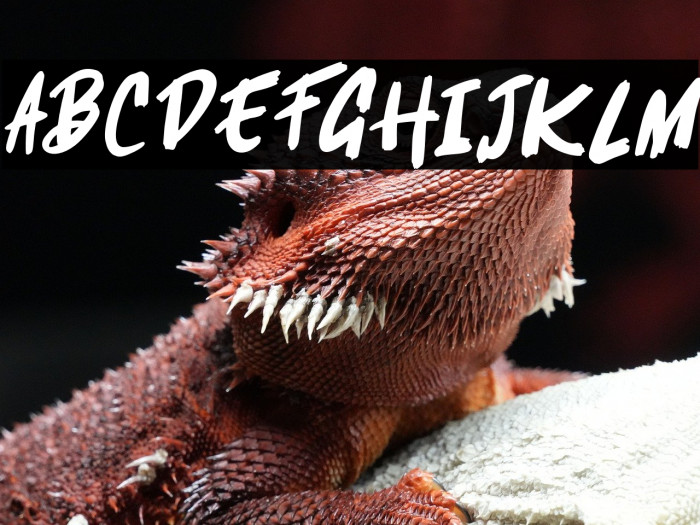 RafaleFREE Example 1