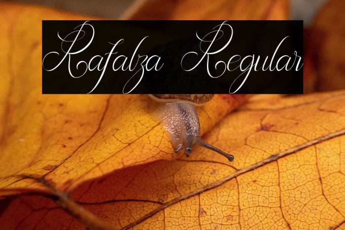 Rafalza Regular Example 2