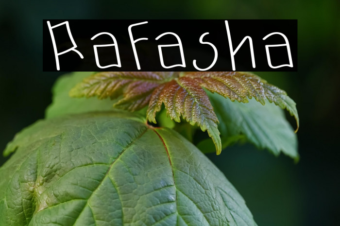 Rafasha Example 1