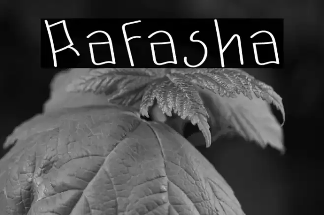 Rafasha Font examples