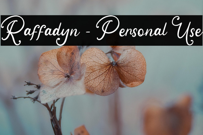 Raffadyn - Personal Use Example 3