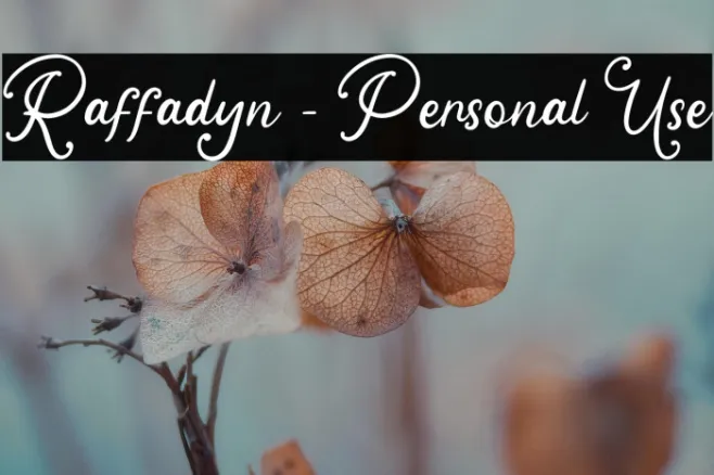 Raffadyn - Personal Use Example 3