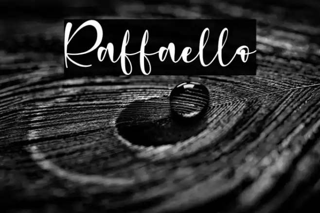 Raffaello Font examples