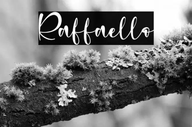 Raffaello Font examples