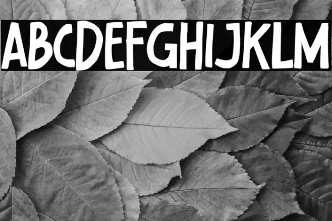 Rafferty Font examples