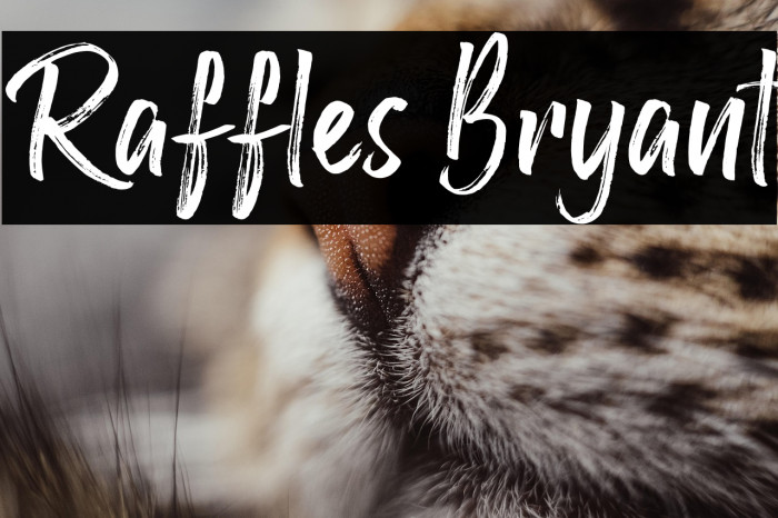 Raffles Bryant Example 1