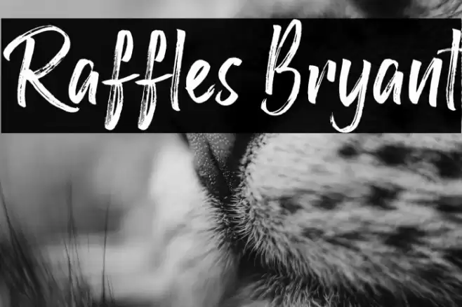 Raffles Bryant Font examples