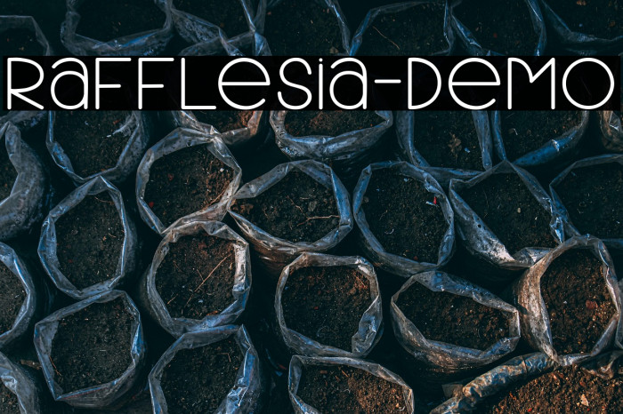 Rafflesia-Demo Example 2