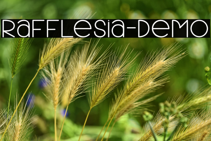 Rafflesia-Demo Example 3