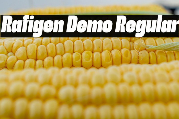 Rafigen Demo Regular Example 1