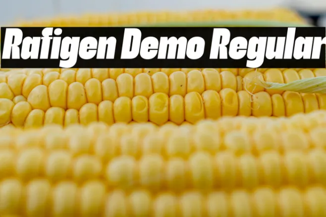 Rafigen Demo Regular Example 1