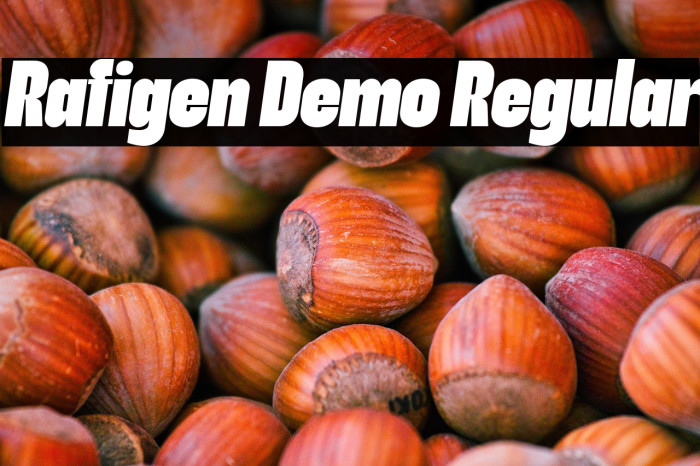 Rafigen Demo Regular Example 3