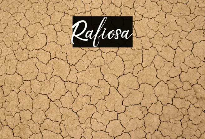 Rafiosa Example 1