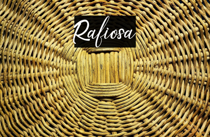 Rafiosa Example 2