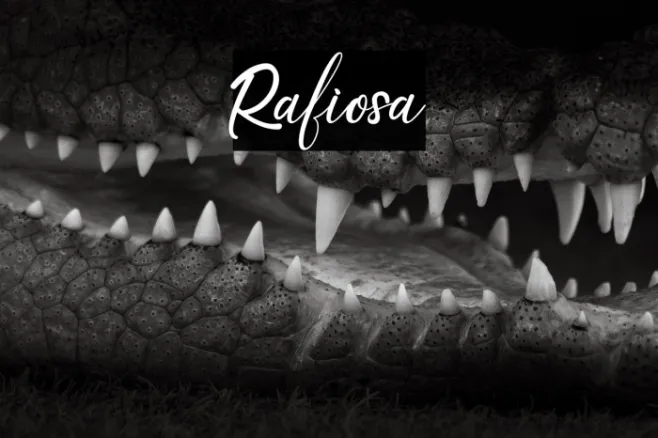 Rafiosa Example 3