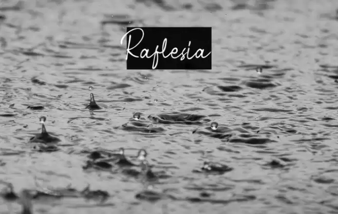 Raflesia Font examples