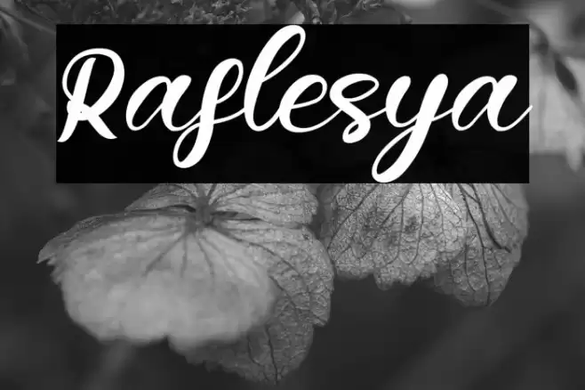 Raflesya Font examples