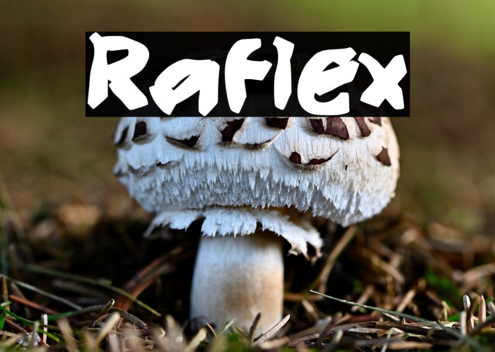 Raflex Example 2