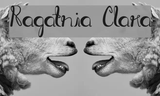 Ragatnia Clara Font examples