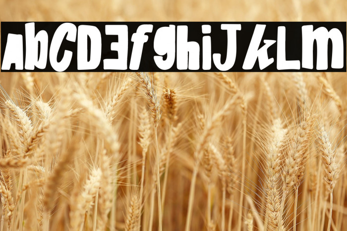 Rage & Paella Example 1