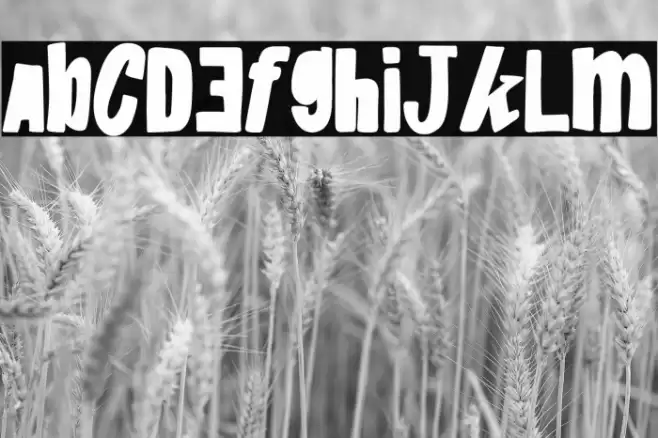 Rage & Paella Font examples