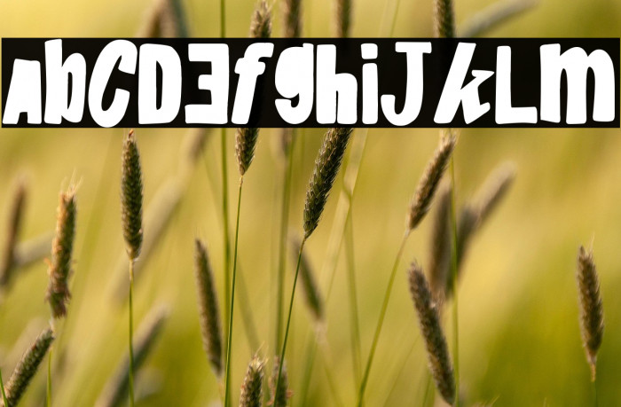 Rage & Paella Example 3