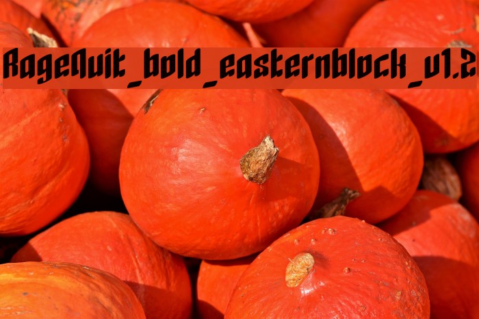 RageQuit_bold_easternblock_v1.2 Font examples