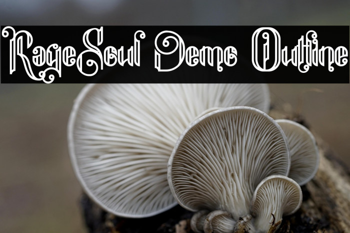 RageSoul Demo Outline Example 3