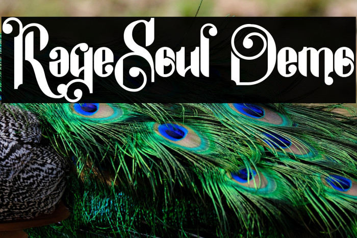 RageSoul Demo Example 2