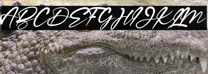 Ragellia Mellinda Example 1