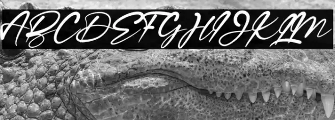 Ragellia Mellinda Schriftart examples