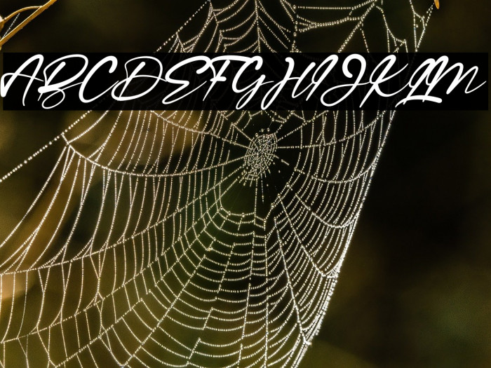 Ragellia Mellinda Example 3