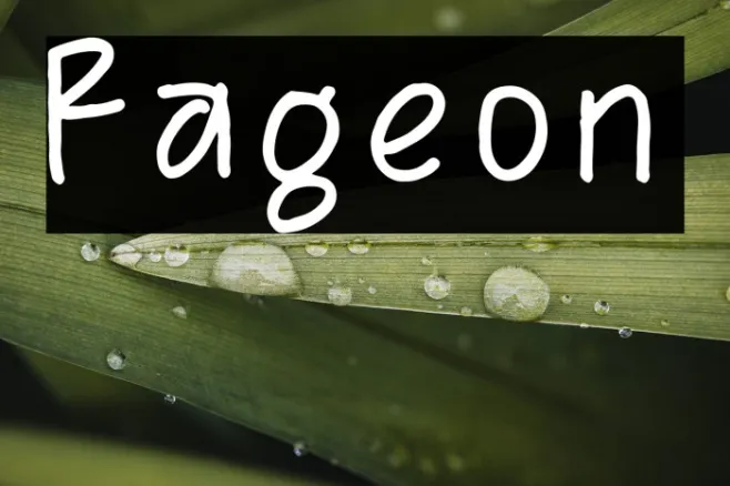 Rageon Example 1